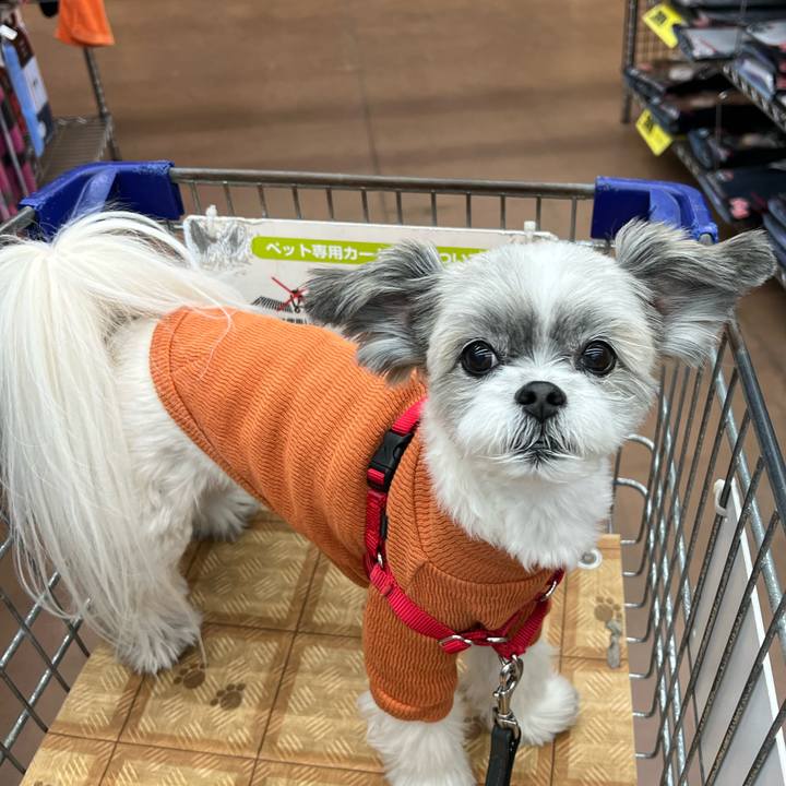 4fa9efa2 1325 4a2b bc97 5b21fbddaea9 1733186951555