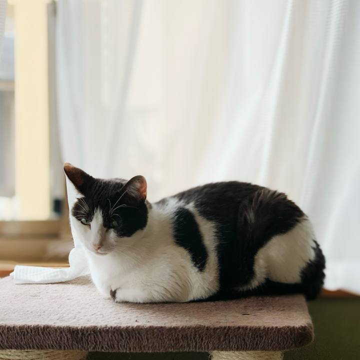 4faa33a2 8c66 4c9d a15a 7288a093e544 1599791541051