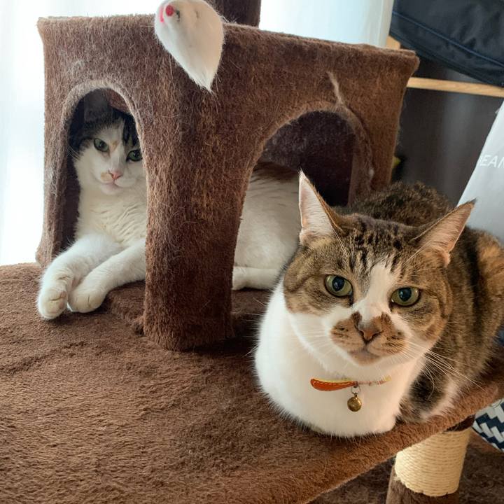 4faa47ed 9924 4952 9f15 a341372156b5 1664331507424