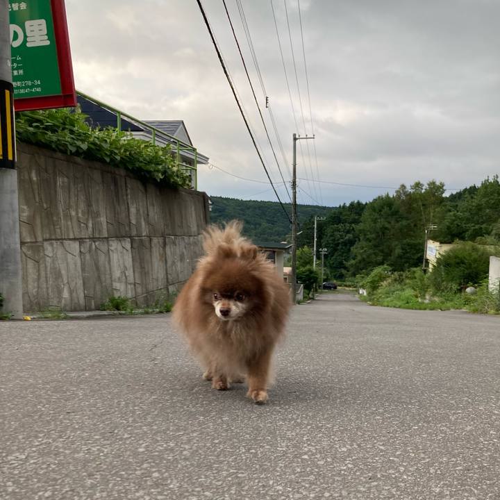 4faa4aa1 ab4b 4f98 93a9 c24456dda060 1693860251341