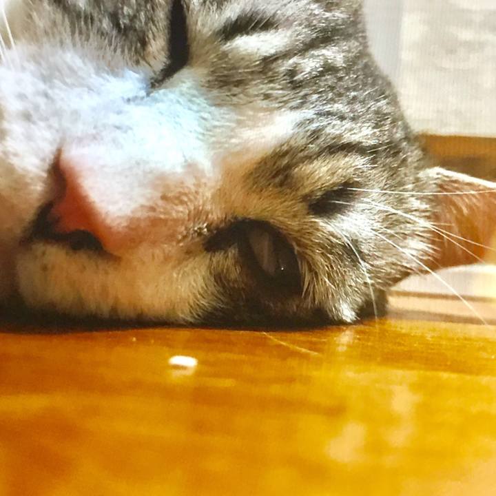 4faaa3b8 fdf0 4510 bf6b f8fcc7b8dc1d 1563888407868