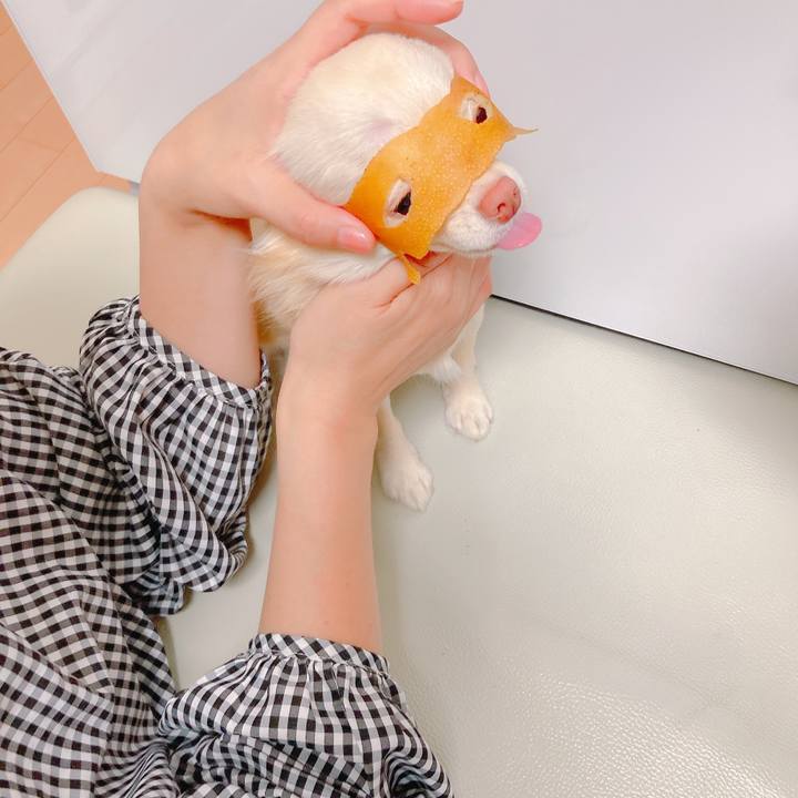 4faaa681 5397 45ef 9878 5853a2959462 1636875221546