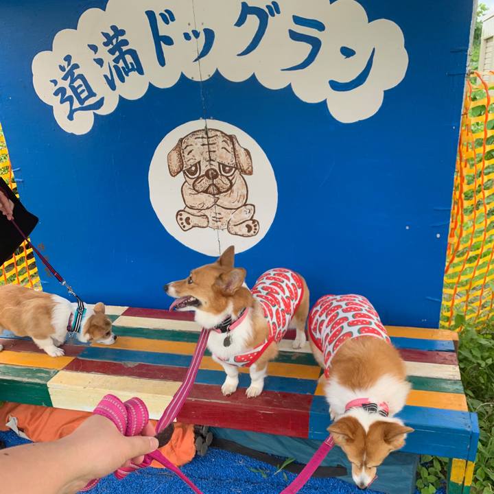 4faaa689 c202 45d5 aaf9 56115681afe3 1562584815803