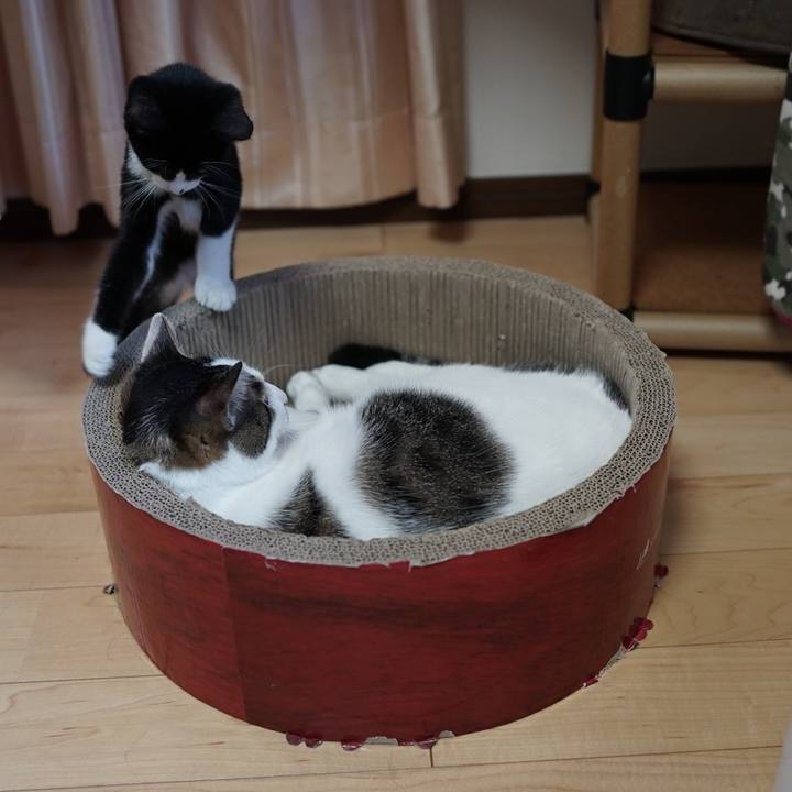 4faabbbf 981f 48b1 b07e 05ac4677870e 1570664796432