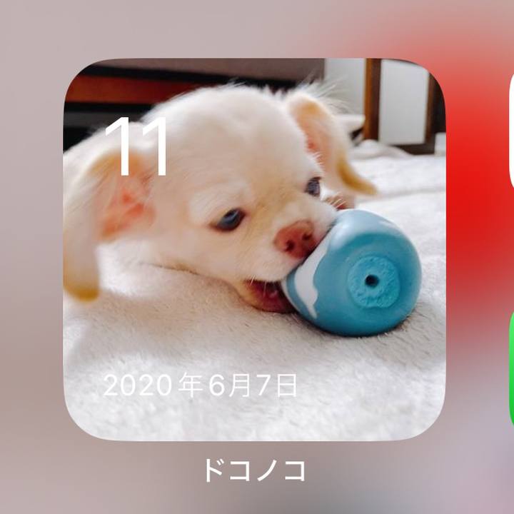 4faad72b 2e8e 43c4 a993 493c851ffcac 1718106151509