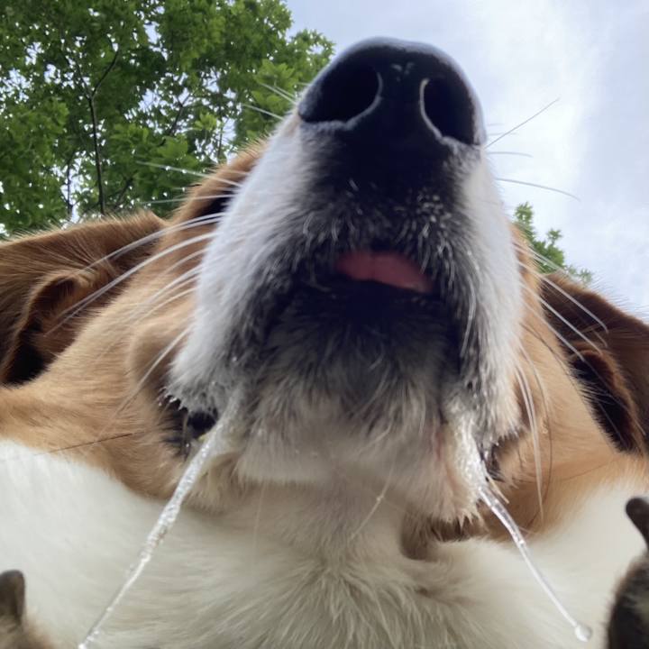 4faaf5c2 4459 4021 8042 cba7e3b1fc16 1720655483620