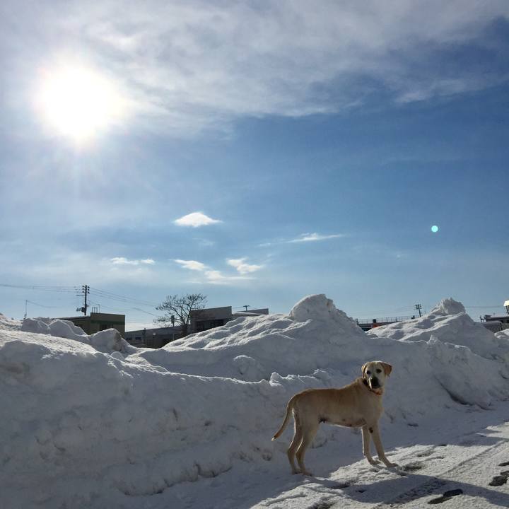 4fab11f5 50df 4bfc 9aef 9c4091060d8f 1517705577347