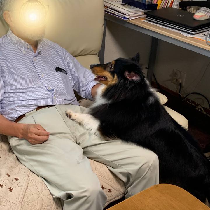 4fab1f23 768f 4eae abd4 8413bf30d230 1594850645342