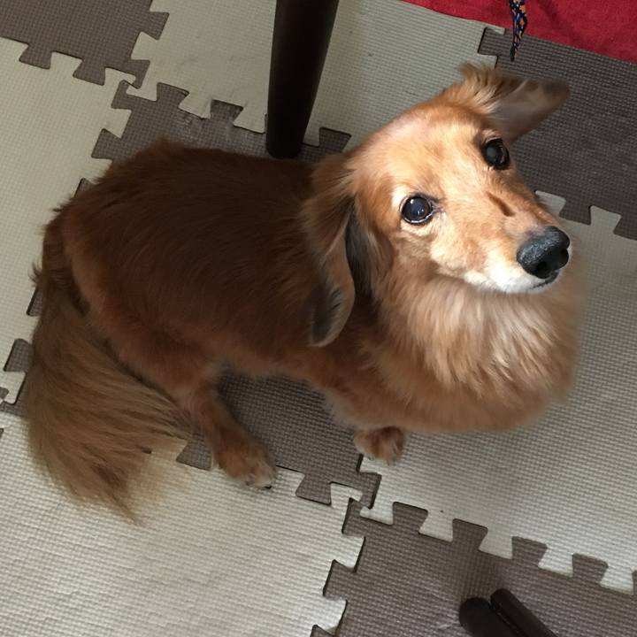 4fab3d97 56bb 4860 bc41 be4ce49dea03 1617976988664