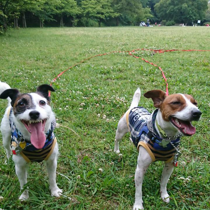 4fab750e 129f 4942 b0e0 6cadd7f65656 1559470967547