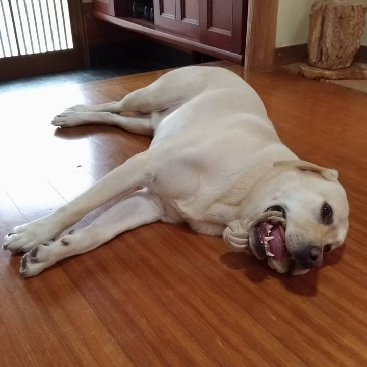 4fab8903 220a 4085 9411 191036241a77 1536986792205