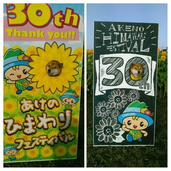 4fab9fc3 a196 4673 8728 23de5914dcfd 1566696272168