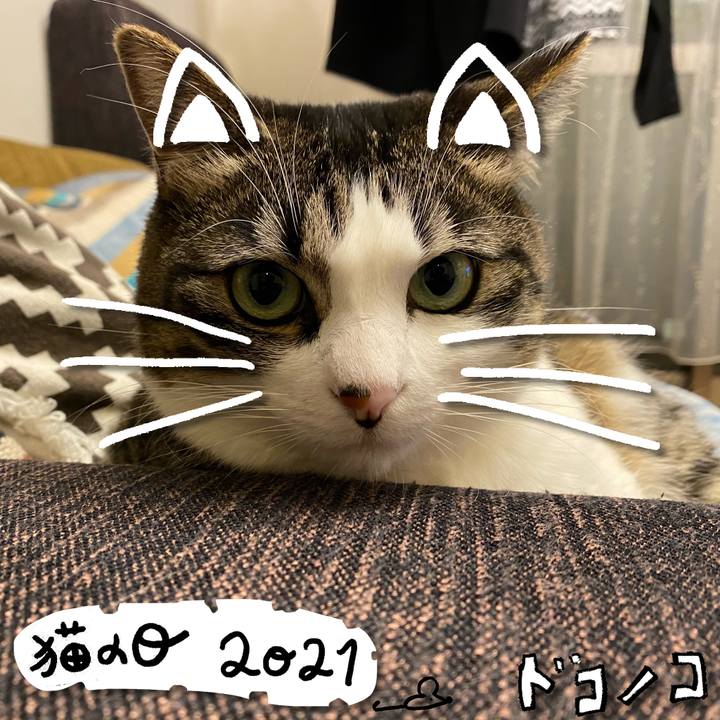 4fabc3fc 9782 470e bc86 669f8b4b76ff 1613994449007