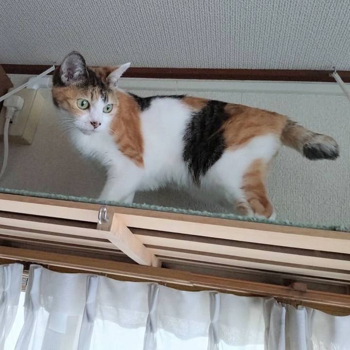 4fabc6eb 21a9 4732 833a d2e76d61c2a4 1760099198997