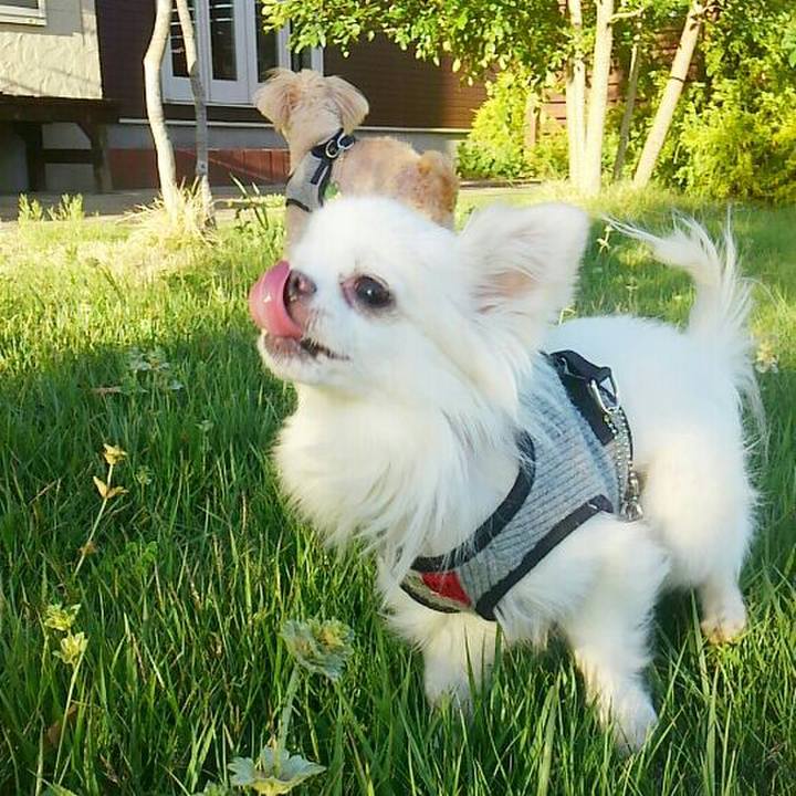 4fabe8aa 5782 416d 9431 a9f574160388 1526783116352