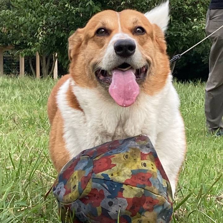 4fabe9f1 9d1c 4a4d 9de8 9caa04de7947 1761267158182