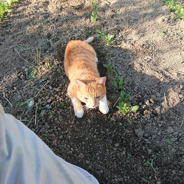 4fac33f0 55c3 4a28 bafd 3f4d2f08bc21 1568536474672