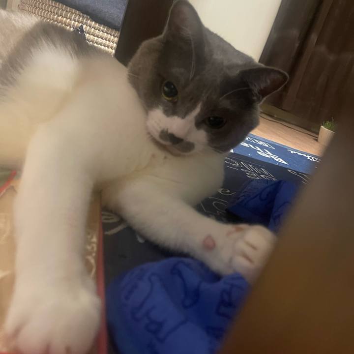 4fac550d cd9c 4aca a775 c1b1192295ec 1695898766178