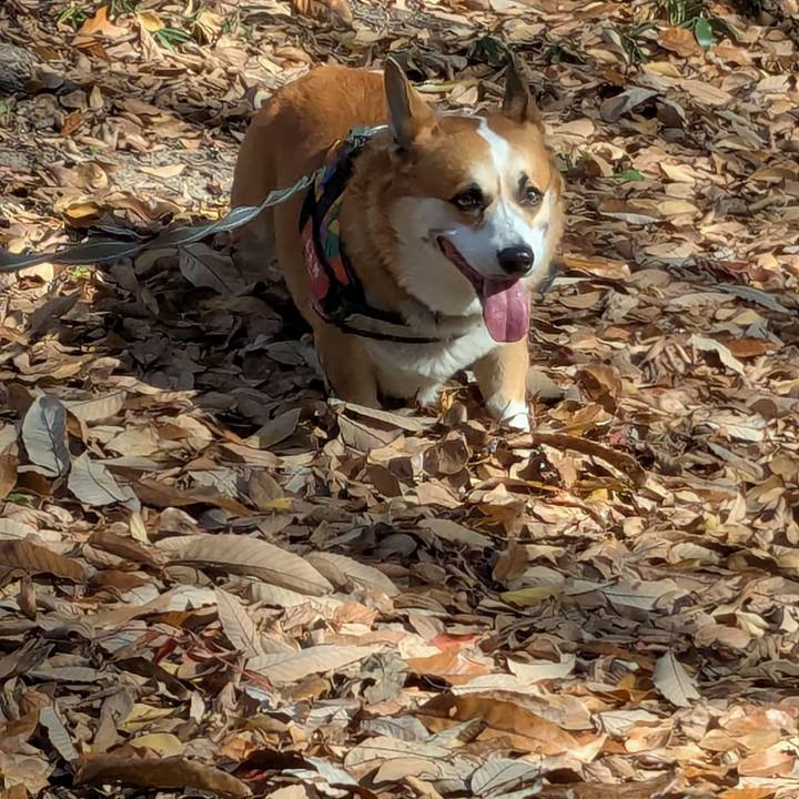 4fac6514 485b 40ff a60d ca18ce75ee4d 1765116704271