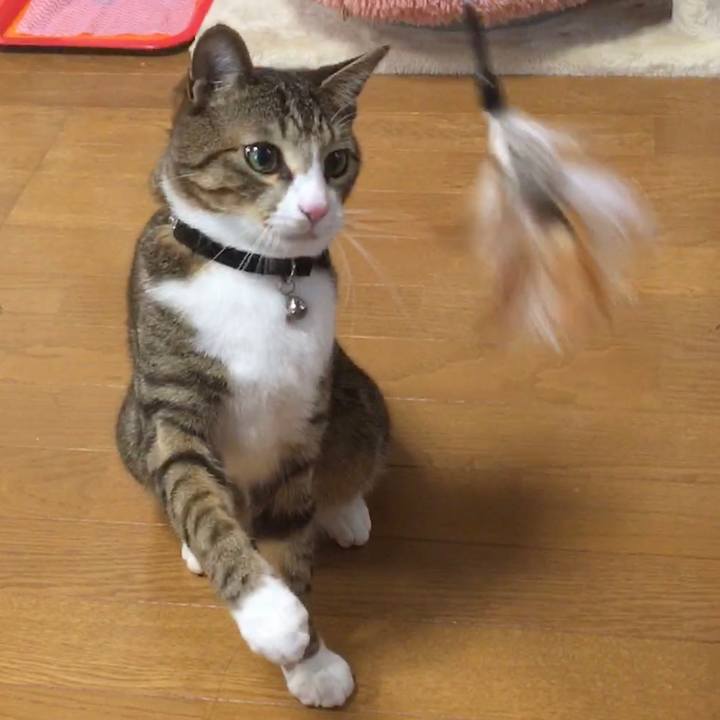 4fac6c56 56b2 4b4f 8b67 3993d65e0f98 1675822086815