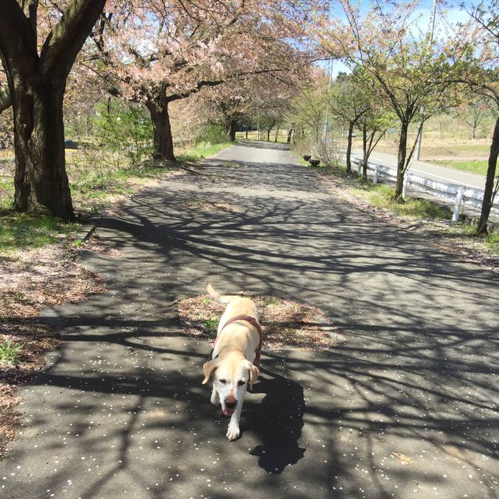 4fac7854 e34b 4478 838b bf9ae3447e4e 1555191306343