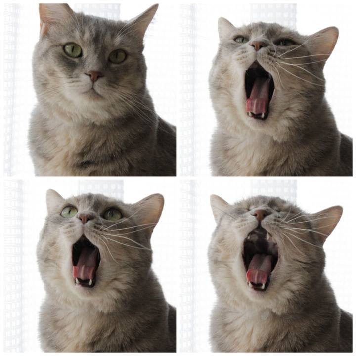 4fac8a1a f7f3 4bc5 a770 6cd2044403df 1627125375635