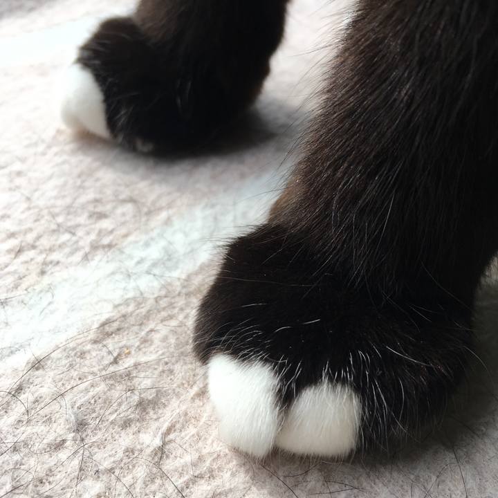 4faccd40 ebb5 4718 b254 93c0f6536df1 1588982492708