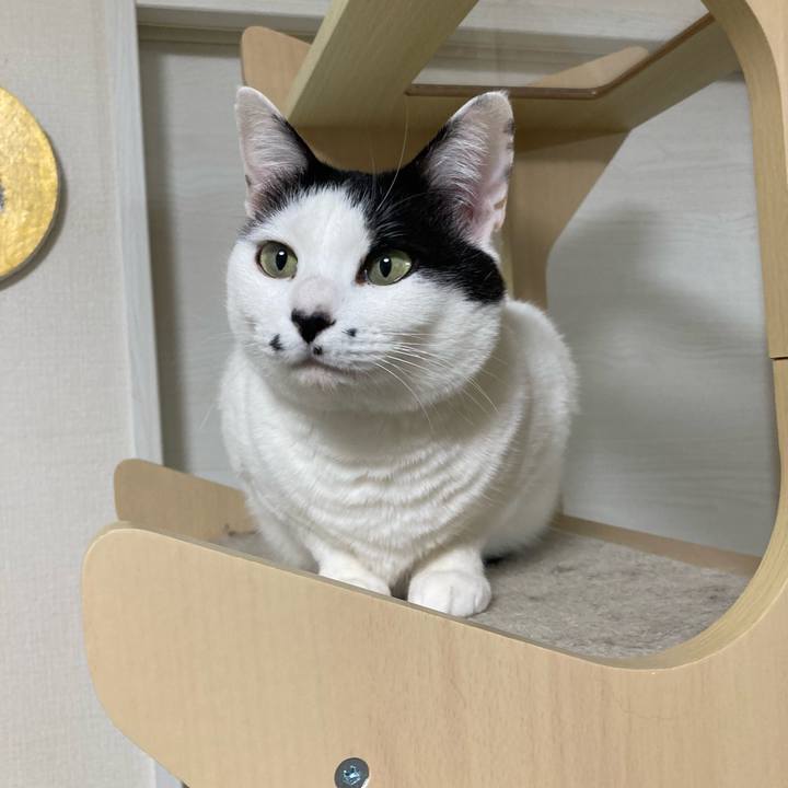 4facd6c8 fa6d 4b66 b237 70ec45ae5b52 1771878458857