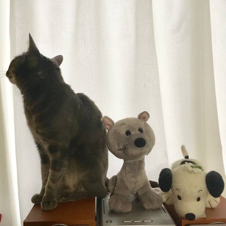 4face3b0 037f 4384 acb8 94177534ca0c 1545089639786