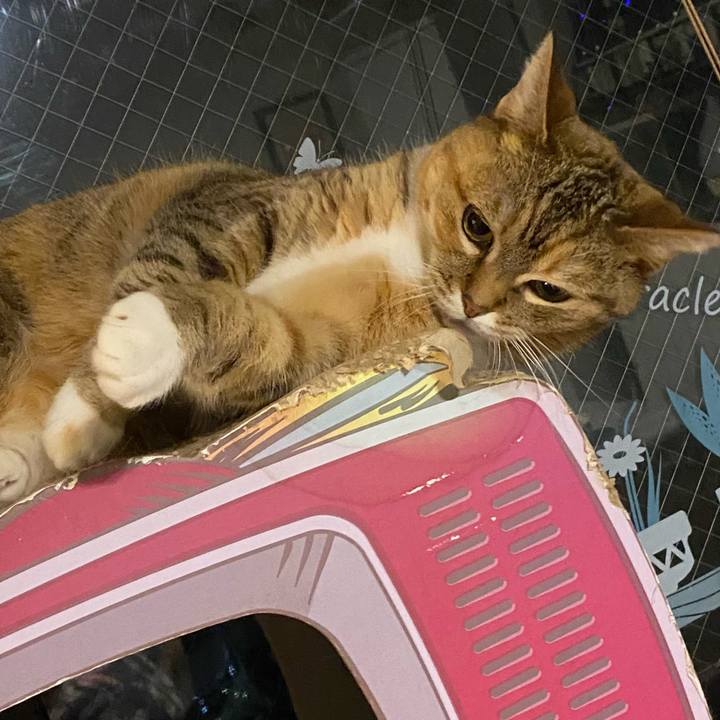 4face59b 5901 4930 9c03 19b842d3772c 1681645130129