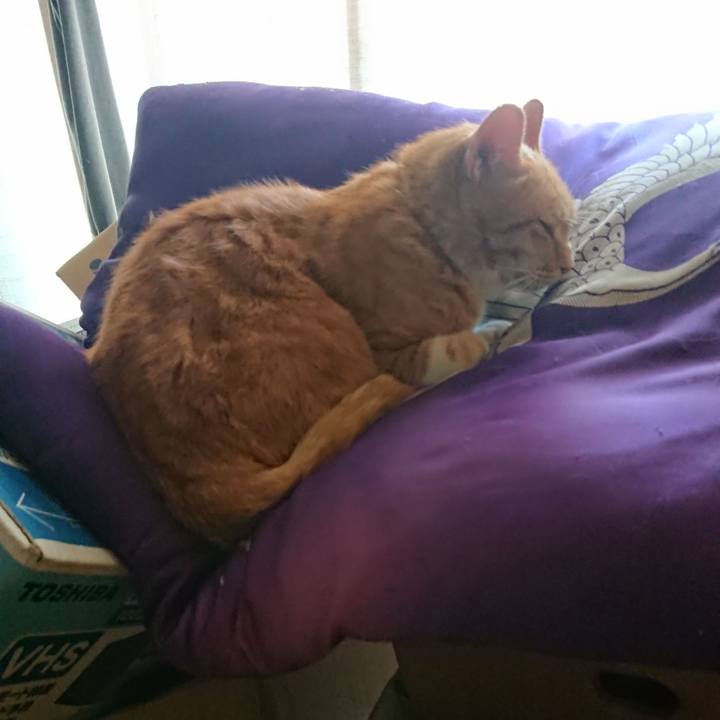 4facece0 c74a 40ec a789 9c530304cbea 1597874010626