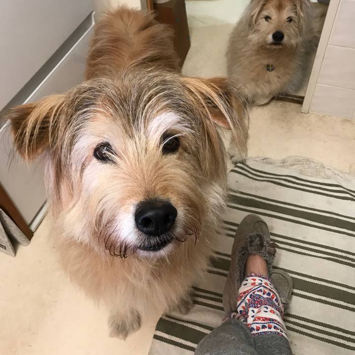 4fad2210 8cb1 48a6 ba4c 8550821a76dd 1584663777726