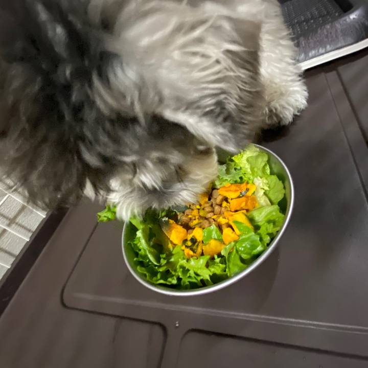 4fad3507 e24d 41fe a762 9cc3c9078a01 1577019478657