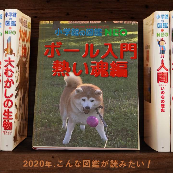 4fada549 66a9 49fd 8441 8bdf8edc2634 1578494909007