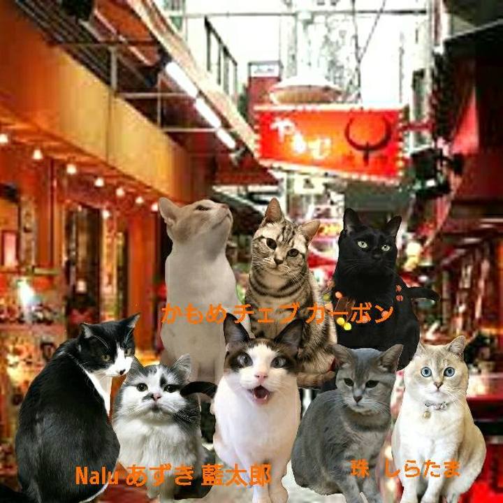 4fadbdbd 2c44 4310 a7f3 875087a1c2f8 1544260369783