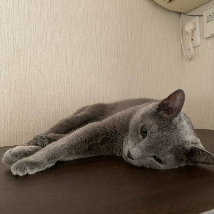 4fadd425 f033 43de 9be6 8ae961c9f7f6 1642032957533