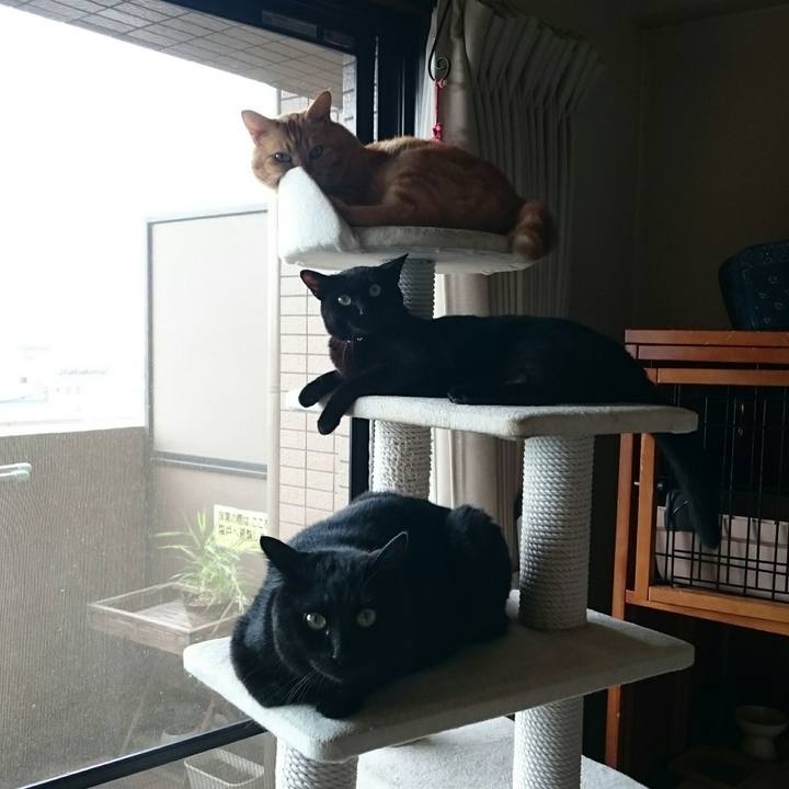 4fadf11b 9201 405c 8232 029985bc1df0 1535073542035