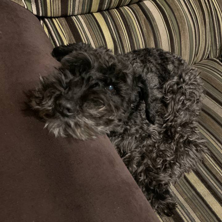 4fadf8df d1cc 437b ab4d f3c5a5757678 1650028536104