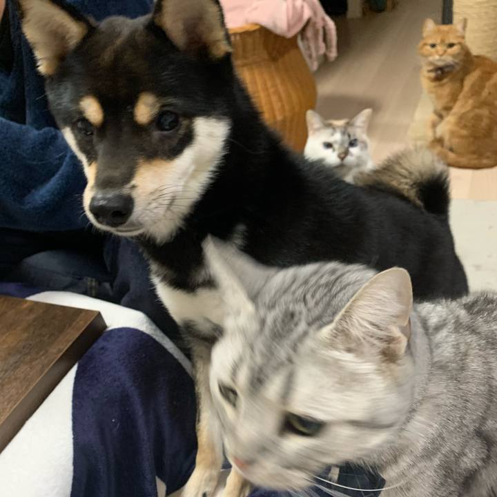 4fae12b8 7310 4984 84b8 dbe746278990 1611479903947