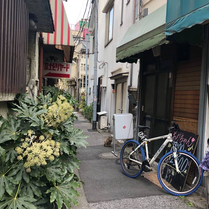 4fae1970 9ade 46ea afcb cfe3f245feff 1580973046882