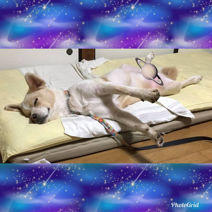 4fae355a 07fd 40a2 99fa 7db33d0d50b5 1540561674266