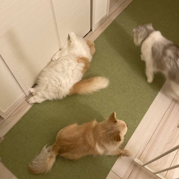 4faeae97 78c8 419f a076 dcb6416b5a1b 1620601625865