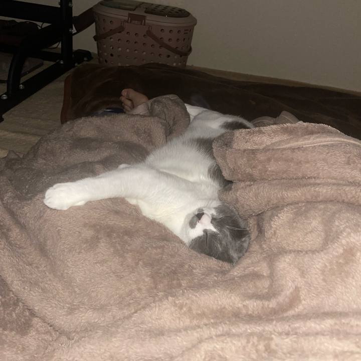 4faed6b2 31e4 4ca5 8a1a 4ec5651a474f 1697142954365