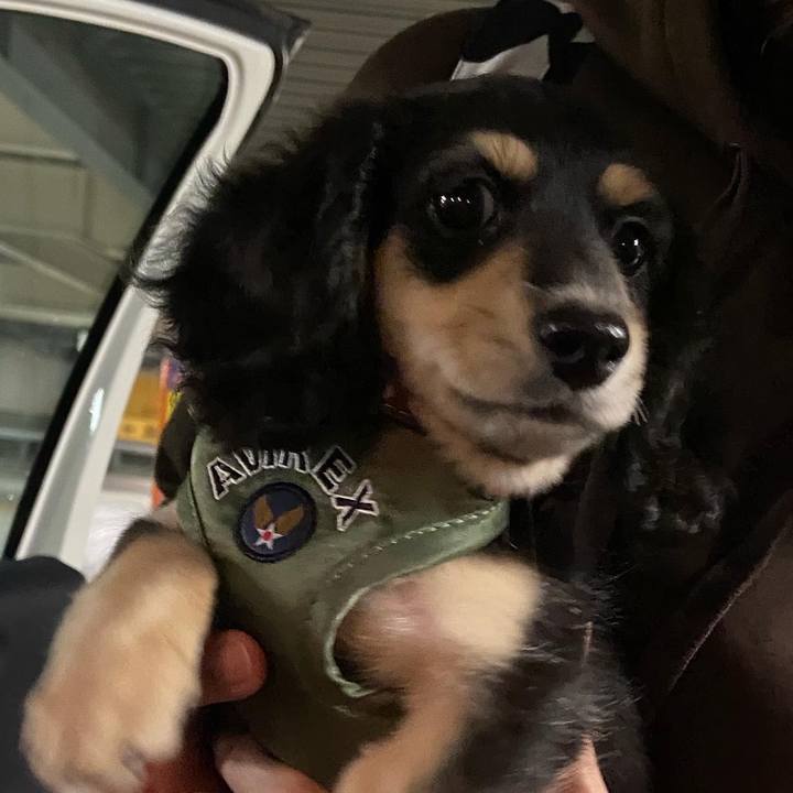 4faf12d4 8e65 45f7 aed4 bd3bd807780f 1665597949392