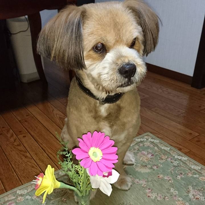 4faf6b37 86e7 4052 a10c 3c2428745b99 1516442996794