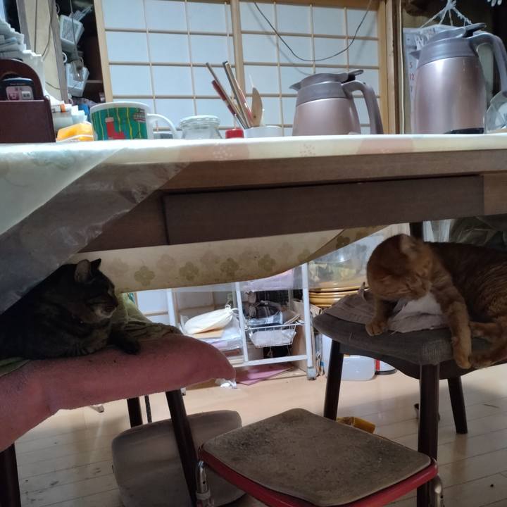 4faf7fb3 b28d 476e 8b38 b7602066f481 1702417412277