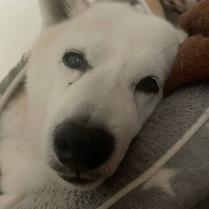 4faf8d9b 0999 4d42 8380 3c33dc669a35 1702990502316