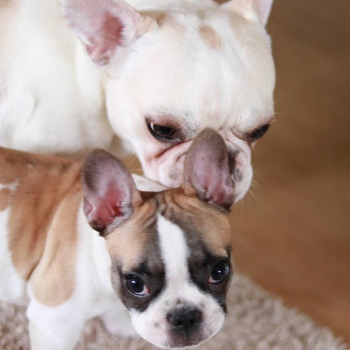 4fafa225 47ed 44f3 bf4d 1e8573d9e1c7 1558693520002