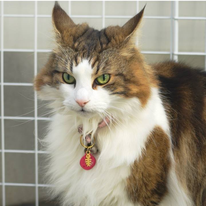 4fafad1f 5600 4c60 9d2e b9e5eee4ada9 1705045862685