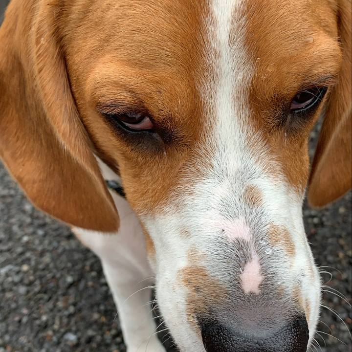 4fb00ff5 7085 4988 bc20 02108fd5fc17 1581824110894